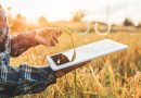 Agriculture et agroalimentaire: AgriDevDZ, un nouveau cabinet de conseil stratégique