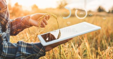 Agriculture et agroalimentaire: AgriDevDZ, un nouveau cabinet de conseil stratégique