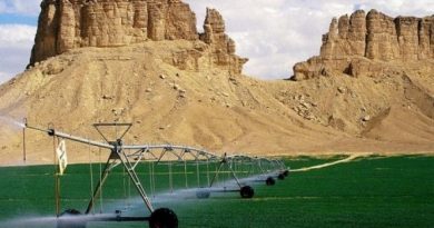 Italie investit dans le Sud algérien