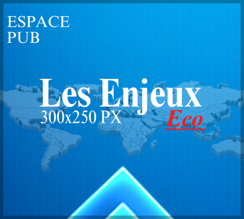 espace pub les enjeux eco 300x250px