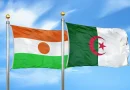 Algérie-Niger: La diplomatie économique au service de la stabilité saharo-saharienne