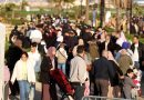 Plus de 2,45 millions de personnes physiques recensées fin 2023: Le commerce demeure le principal moteur de l&rsquo;activité