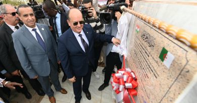 Après la mise en service d’une centrale électrique au Niger: De nombreux projets énergétiques en préparation en Afrique