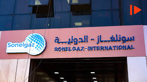 Sonelgaz International se déploie en Afrique