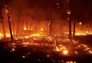 Incendies, climat et sécurité nationale: Plaidoyer pour une nouvelle approche de prévention