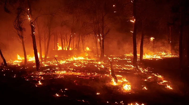 Incendies, climat et sécurité nationale: Plaidoyer pour une nouvelle approche de prévention