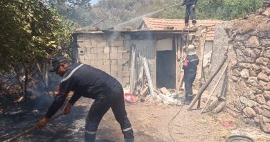 Incendies de forêt : l&rsquo;indemnisation des sinistrés couvrira les pertes agricoles et les biens