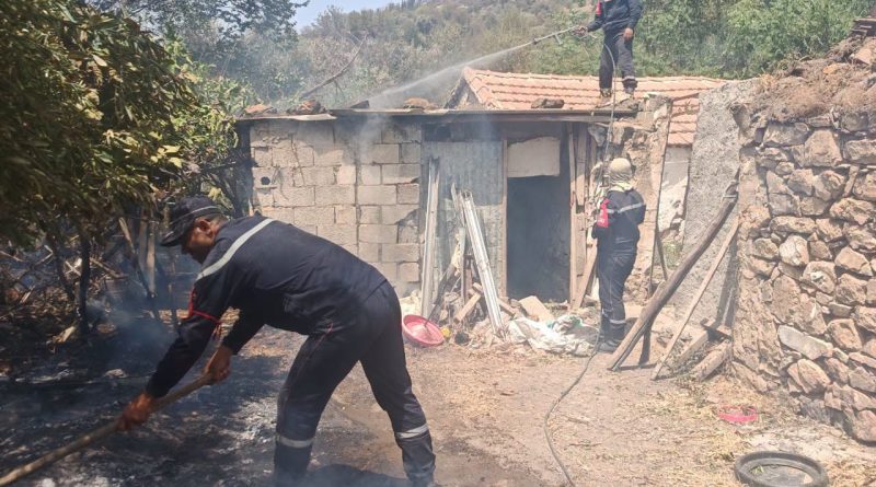 Incendies de forêt : l&rsquo;indemnisation des sinistrés couvrira les pertes agricoles et les biens