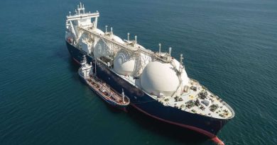 Exportations de GNL au premier semestre 2026 : L’Algérie conserve sa deuxième place en Afrique