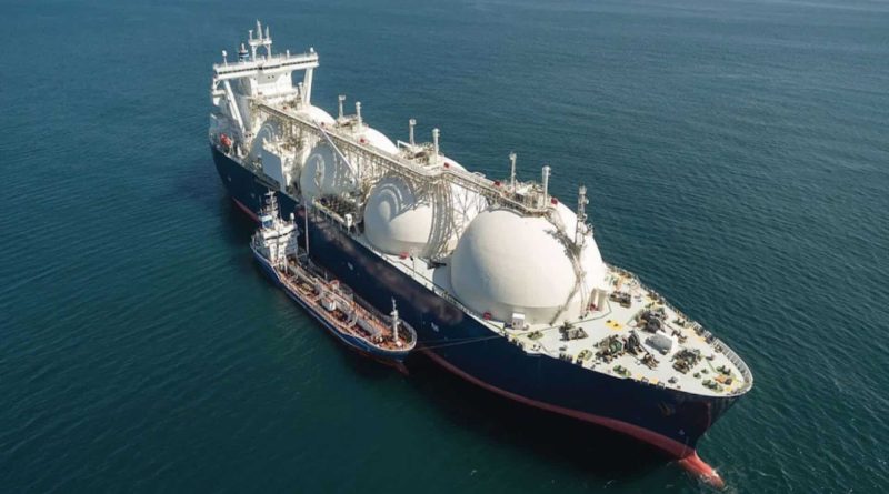 Exportations de GNL au premier semestre 2026 : L’Algérie conserve sa deuxième place en Afrique