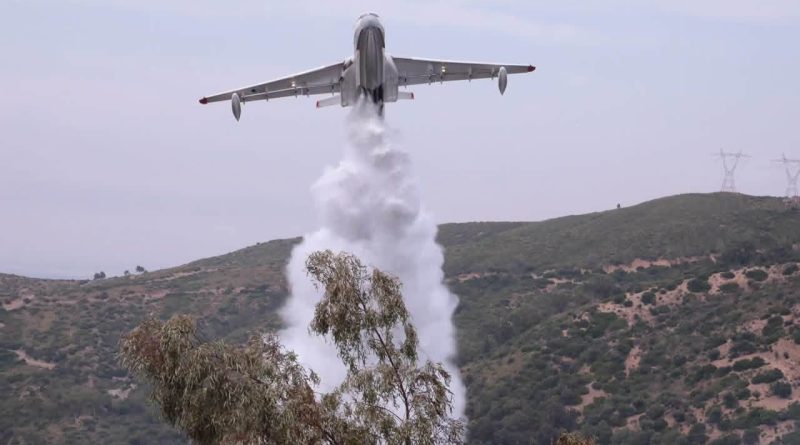 ANP, DGF, Protection civile… Mobilisation totale pour lutter contre les feux de forêt
