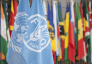 FAO: Les prix alimentaires mondiaux restent globalement stables en mai
