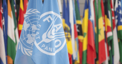 FAO: Les prix alimentaires mondiaux restent globalement stables en mai