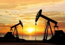 Demande mondiale de pétrole: L&rsquo;OPEP maintient des prévisions favorables pour 2026 et 2027