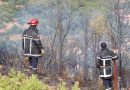 Feux de forêt: Extinction de 72 incendies sur 80 durant les dernières 24 heures