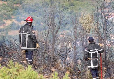 Feux de forêt: Extinction de 72 incendies sur 80 durant les dernières 24 heures