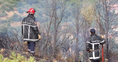 Feux de forêt: L’État au chevet des sinistrés