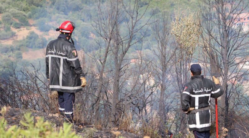 Feux de forêt: L’État au chevet des sinistrés