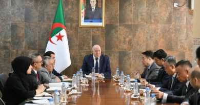 Réhabilitation du complexe d&rsquo;El-Hadjar: Vers un partenariat avec le groupe China Baowu Steel Group