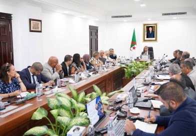Coopération énergétique avec le Tchad, la Côte d’Ivoire et le Bénin: Les dossiers au cœur d’une réunion sectorielle