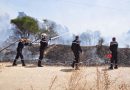 Protection civile: Extinction de 118 incendies sur 123 au cours des dernières 24 heures