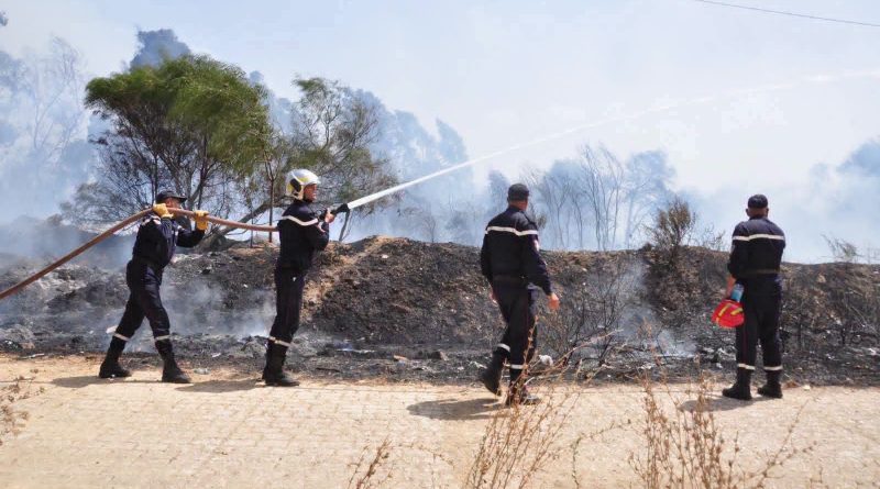 Protection civile: Extinction de 118 incendies sur 123 au cours des dernières 24 heures