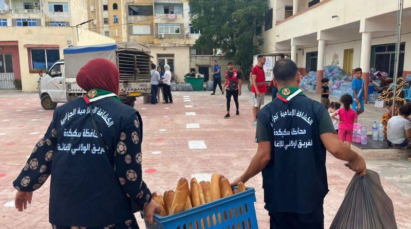 Après le drame des feux de forêt à Jijel, Béjaïa, Tizi Ouzou, Skikda… Les Algériens se mobilisent