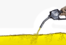 Valorisation locale des déchets gras: Le CDER franchit une étape clé avec son pilote de production de biodiesel