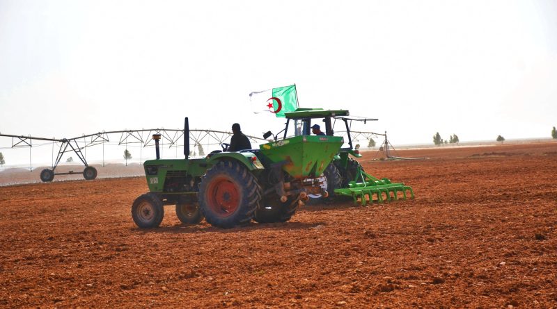 Performances de l’agriculture algérienne: Ce que révèle le Département américain de l’Agriculture