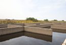 Réutilisation des eaux épurées dans l’agriculture: Un levier pour renforcer la sécurité alimentaire