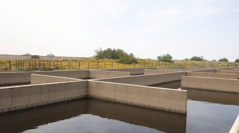 Réutilisation des eaux épurées dans l’agriculture: Un levier pour renforcer la sécurité alimentaire