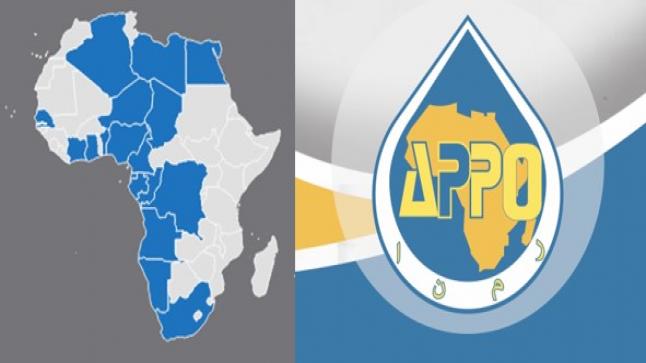 Banque africaine de l’énergie: Les projets prioritaires à financer