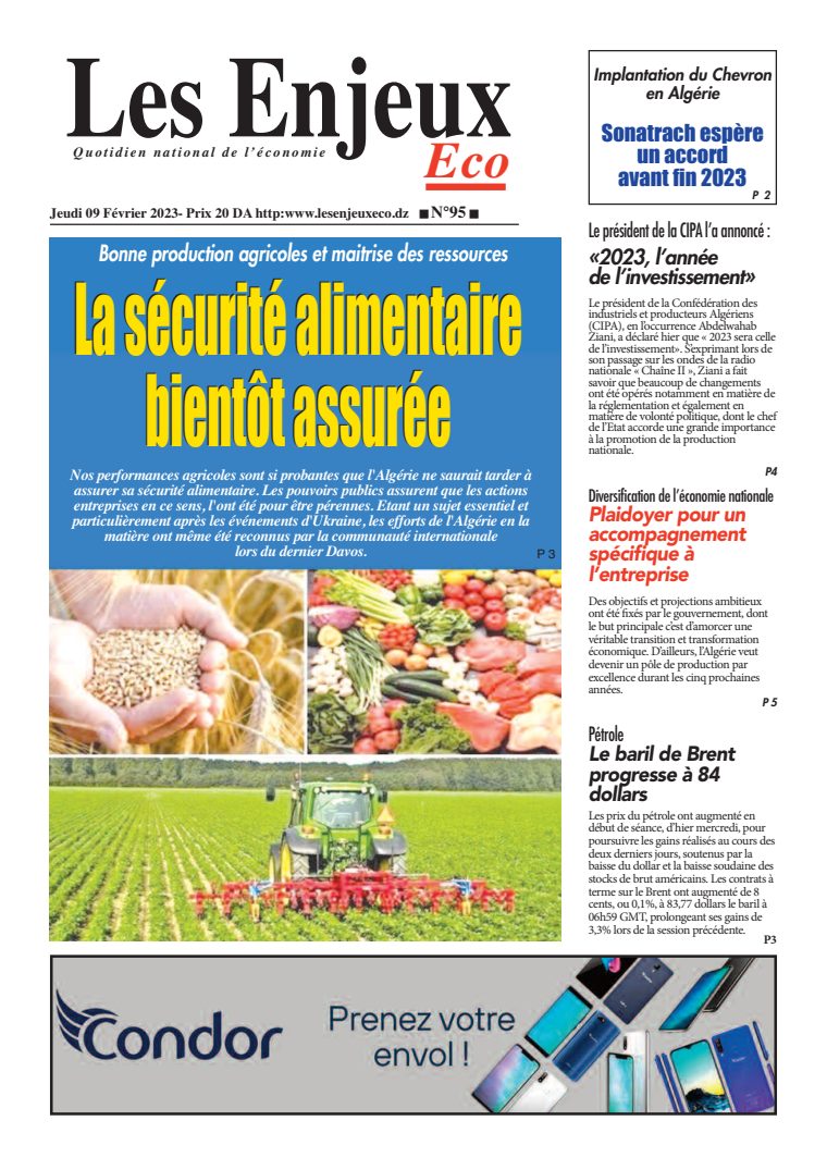 Une du journal Les Enjeux Eco numéro 95