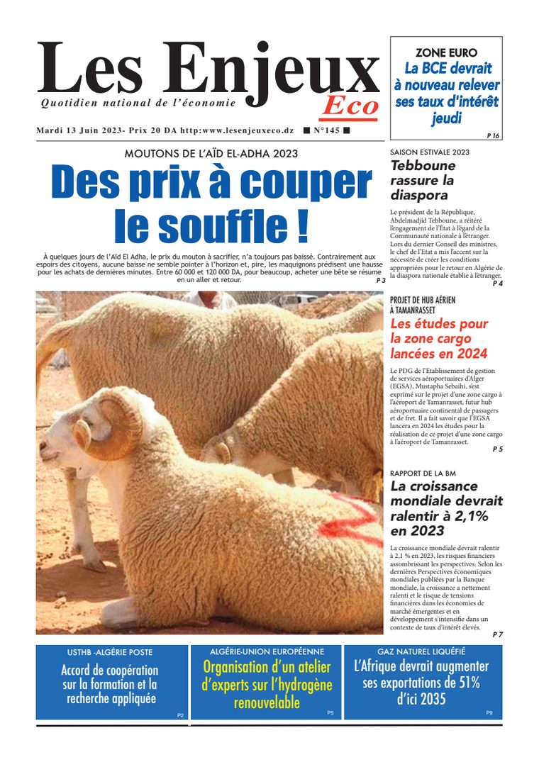 Une du journal Les Enjeux Eco numéro 145