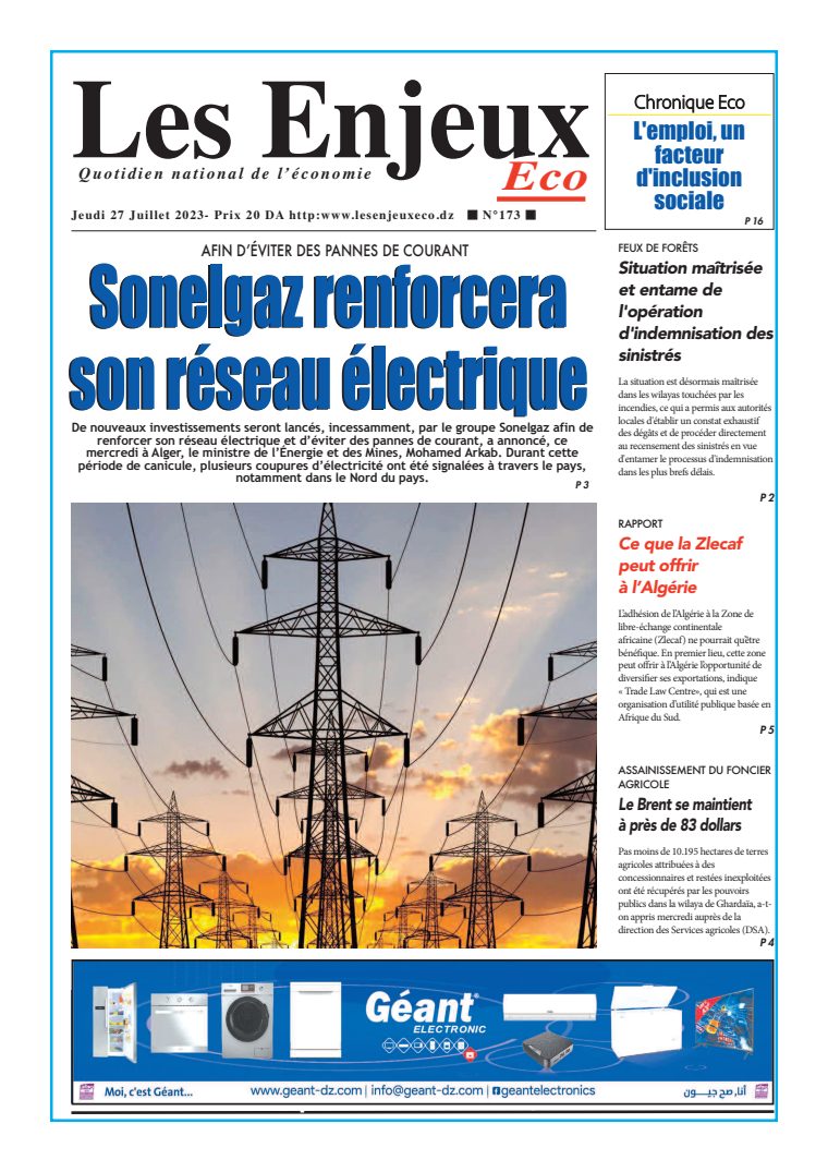 Une du journal Les Enjeux Eco numéro 173