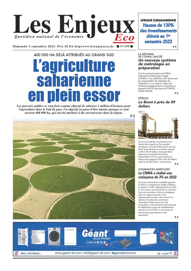 Une du journal Les Enjeux Eco numéro 199