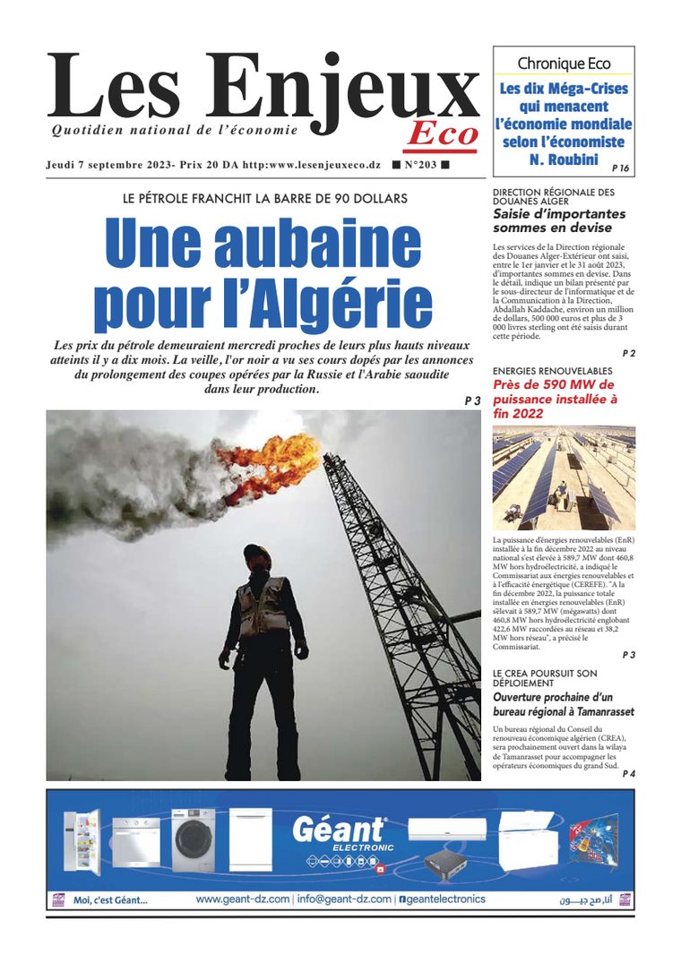 Une du journal Les Enjeux Eco numéro 203