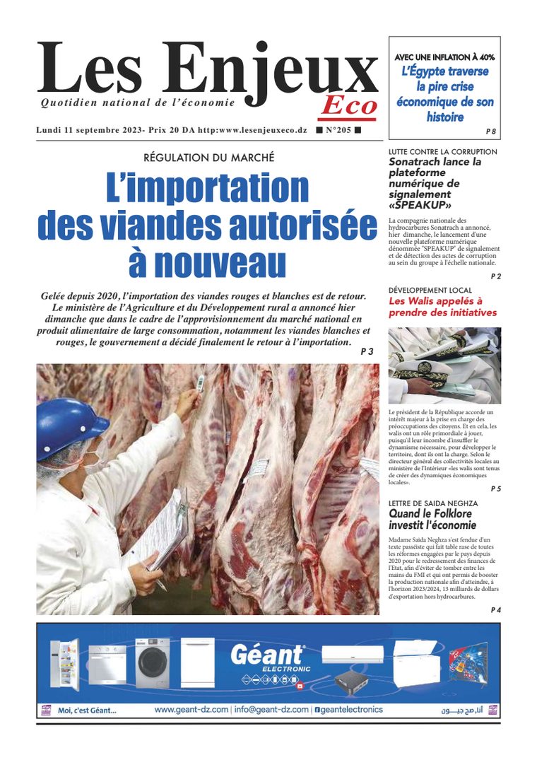 Une du journal Les Enjeux Eco numéro 205