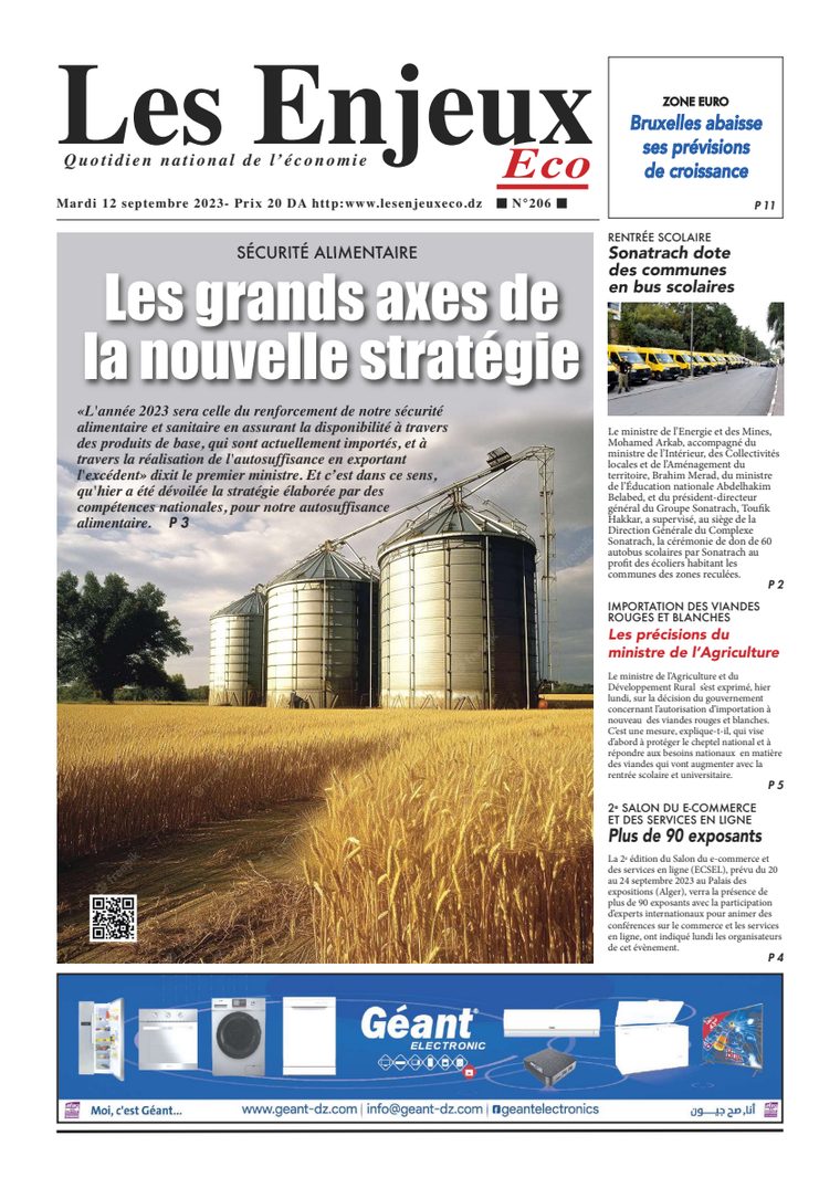 Une du journal Les Enjeux Eco numéro 206