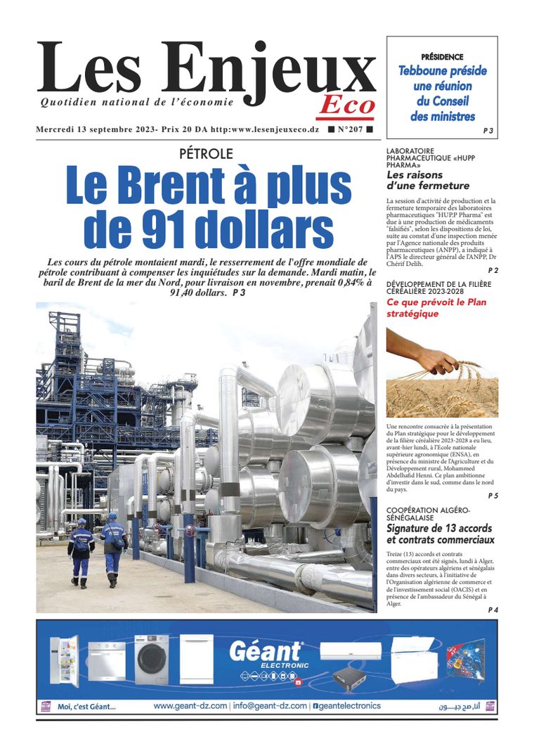 Une du journal Les Enjeux Eco numéro 207