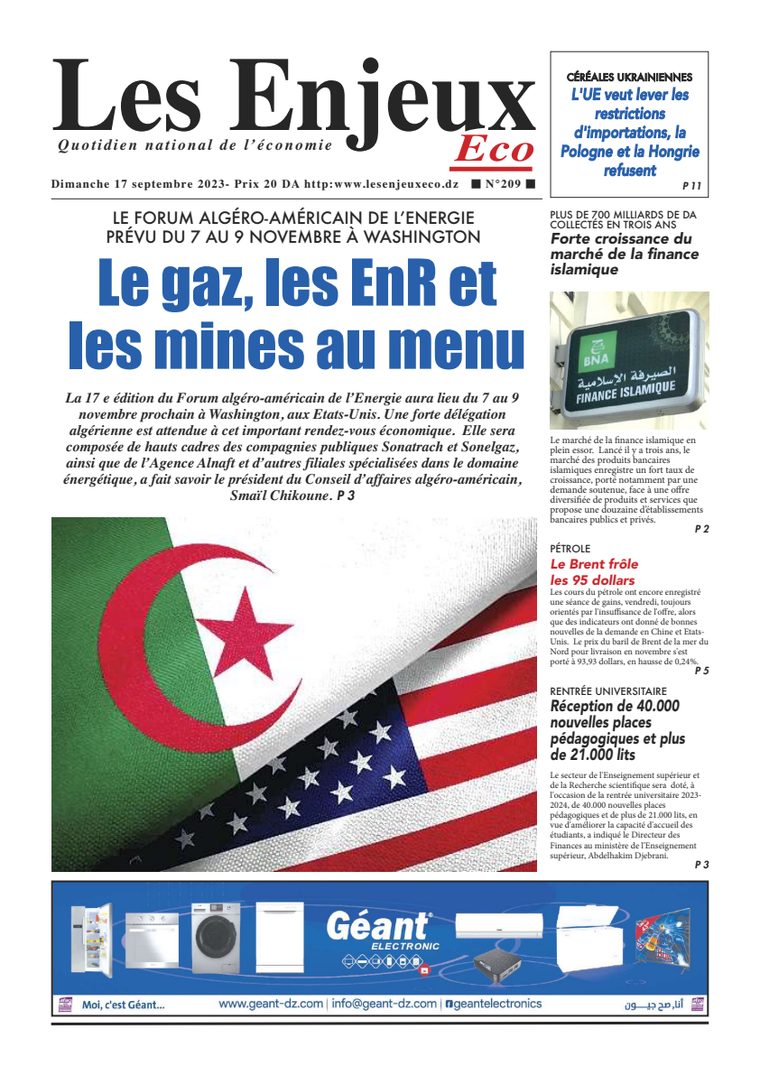 Une du journal Les Enjeux Eco numéro 209