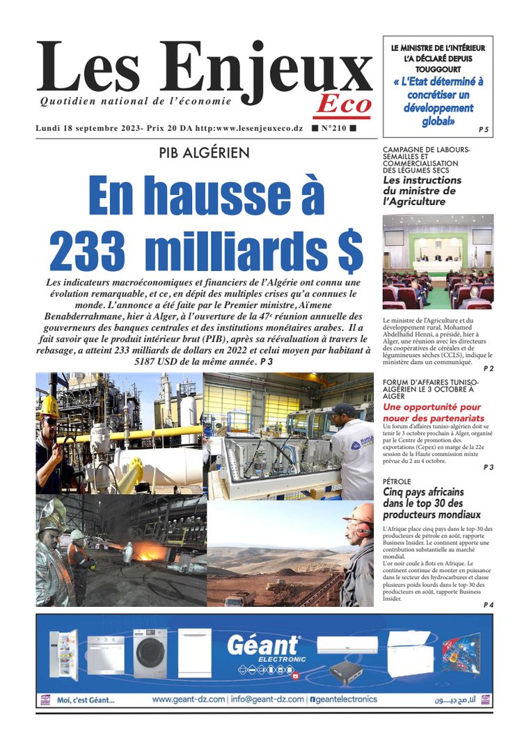 Une du journal Les Enjeux Eco numéro 210