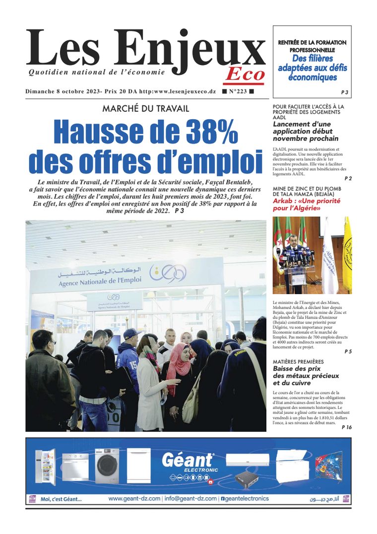 Une du journal Les Enjeux Eco numéro 223