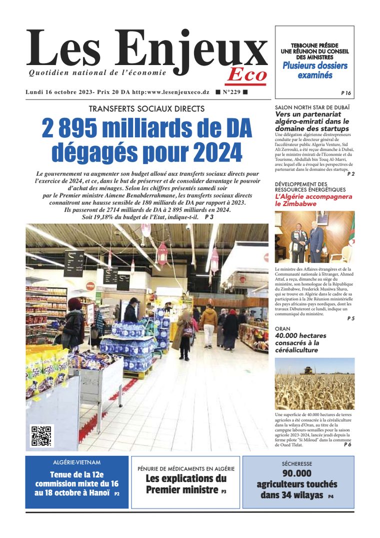 Une du journal Les Enjeux Eco numéro 229