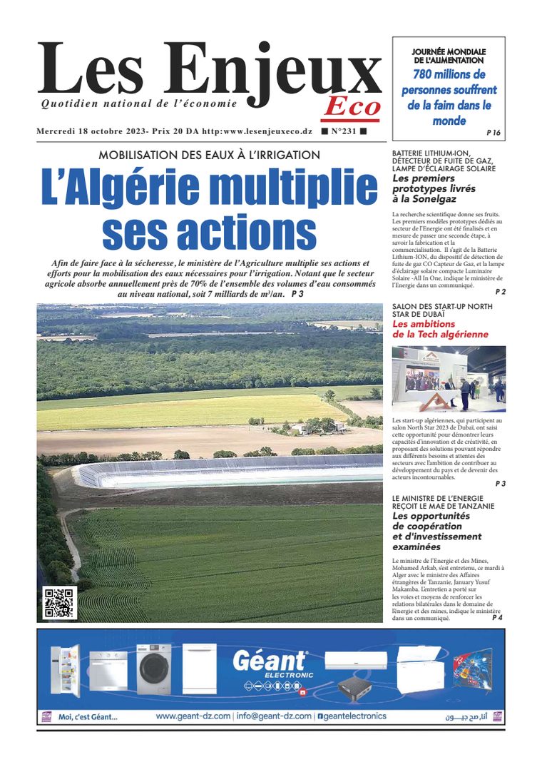 Une du journal Les Enjeux Eco numéro 231