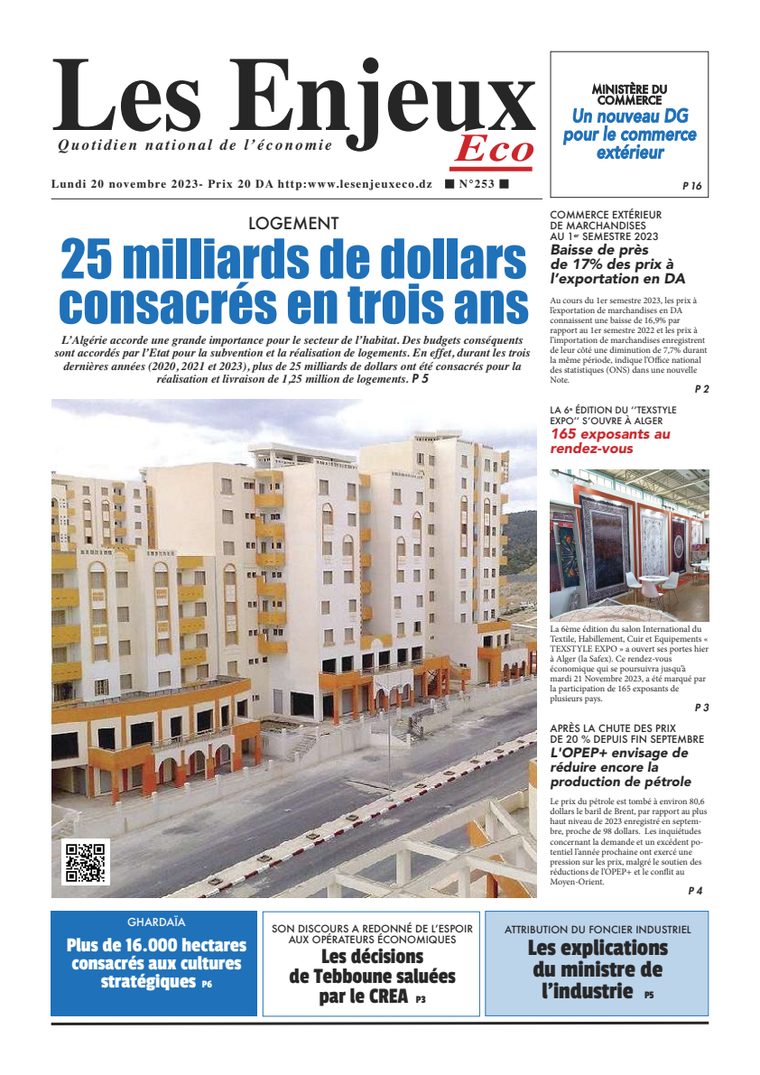 Une du journal Les Enjeux Eco numéro 253