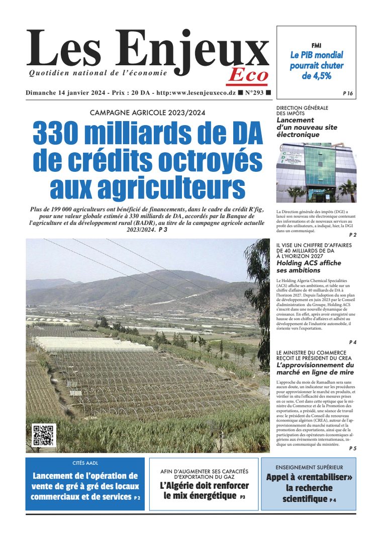 Une du journal Les Enjeux Eco numéro 293