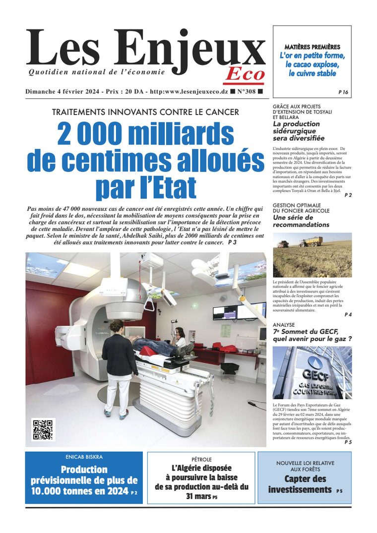 Une du journal Les Enjeux Eco numéro 308