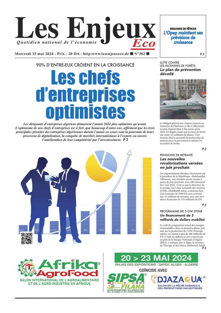 Une du journal Les Enjeux Eco numéro 382