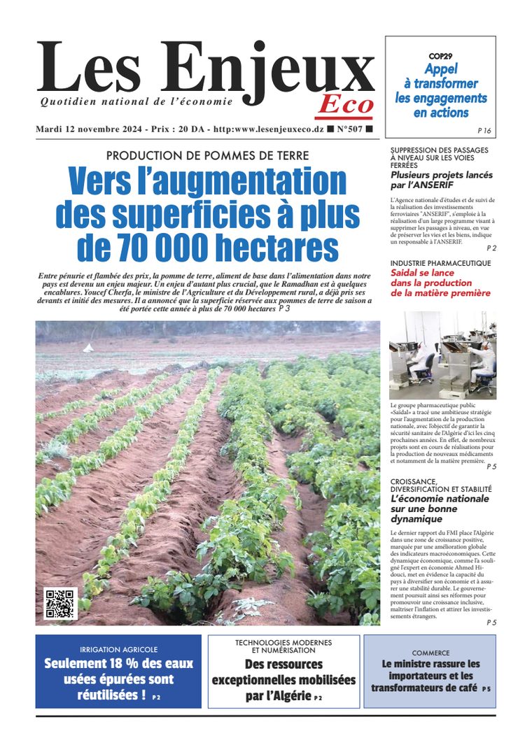 Une du journal Les Enjeux Eco numéro 507